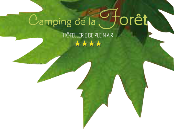 aart in het bos van camping Jumieges, Seine-vallei, een 4-sterren camping in Seine Maritime, buiten accommodatie in Haute-Normandie