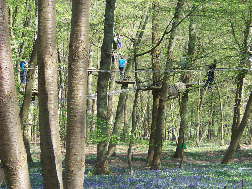 Camping de la Forêt - Jumièges