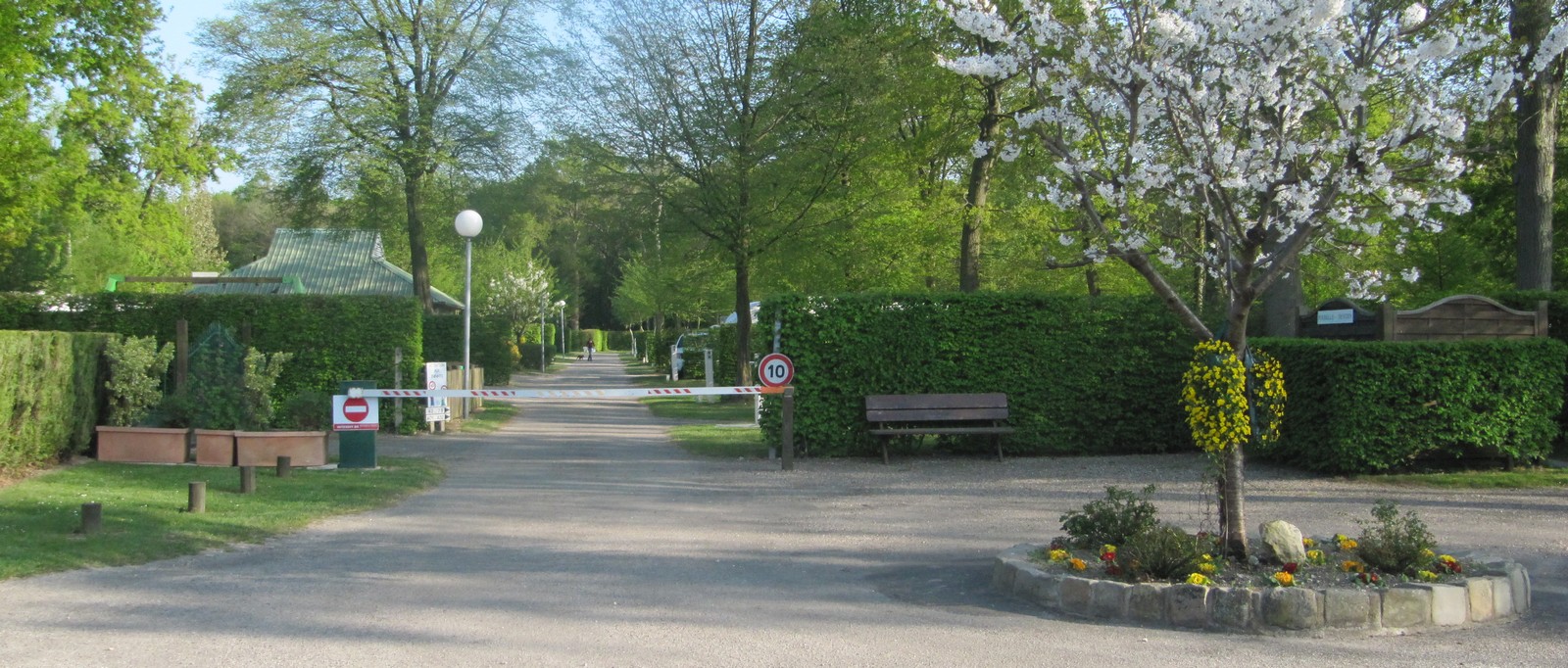 Camping de la Forêt 4 sterren, huur huisjes en chalets